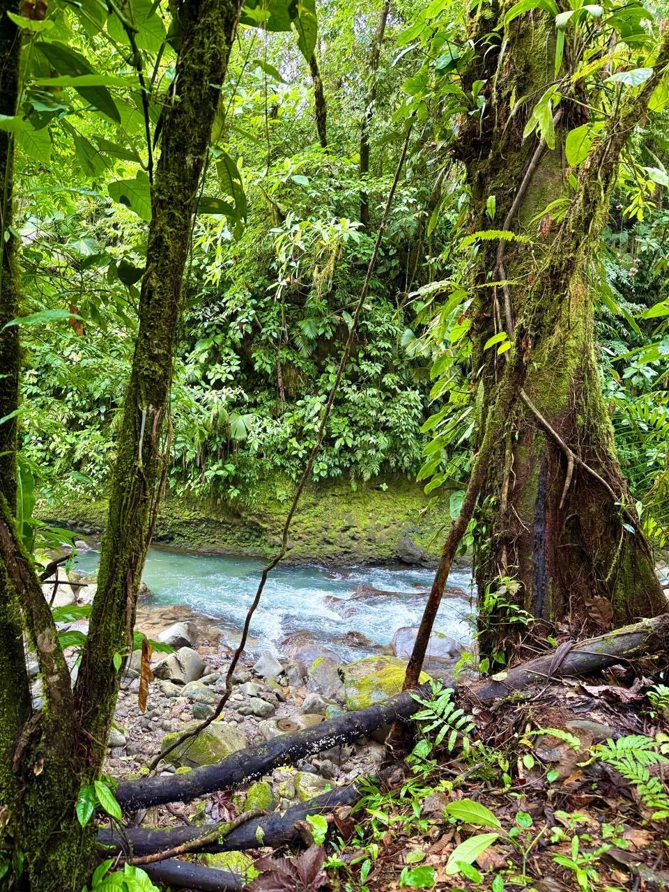 COSTA RICA